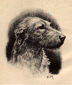 237x281 The Wolfhound As Illustrated In Books And Sculpture - Irish Wolfhound Sketch