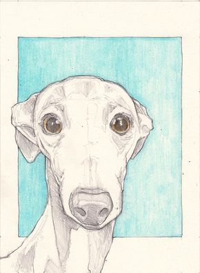 290x396 Italian Greyhound Drawing, An Original 7.5x5.5 Sketch, Pencil - Italian Greyhound Sketch