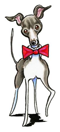 206x450 Stunning Italian Greyhound Drawings And Illustrations For Sale - Italian Greyhound Sketch