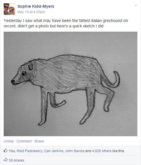 496x578 Dogspotting On Twitter Fat Greyhound Sketch Saturday Is Here - Italian Greyhound Sketch