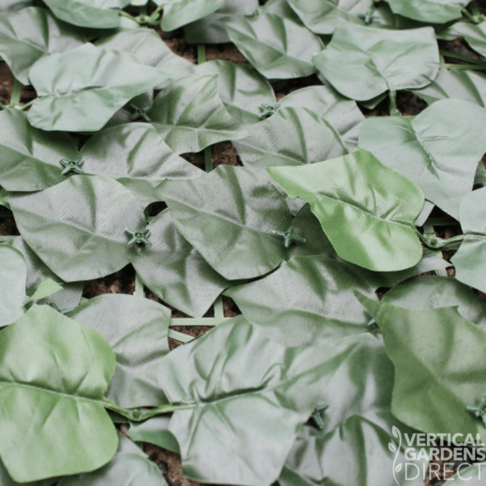 1000x1000 Artificial Ivy Leaf 3m X 1m Hedge Roll Screen Uv Stabilised - Ivy Leaf Sketch