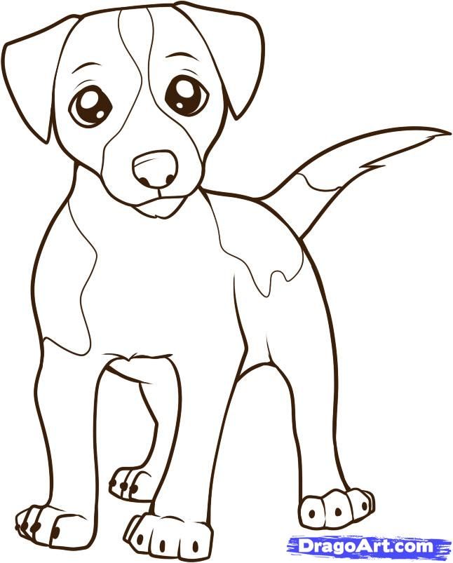 646x803 How To Draw A Jack Russell Terrier, Step By Step, Pets, Animals - Jack Russell Sketch