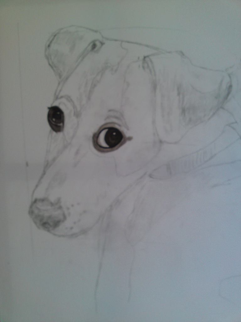768x1024 Jack Russell Sketch Jack Russell Sketch Lisa Pet Painter - Jack Russell Sketch