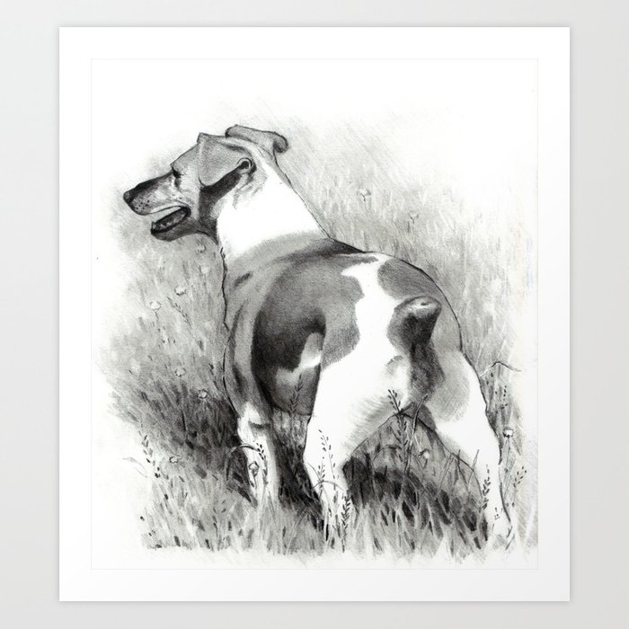 700x700 Jack Russell Terrier, Pencil Drawing, Dog Art Print By Joyart - Jack Russell Sketch