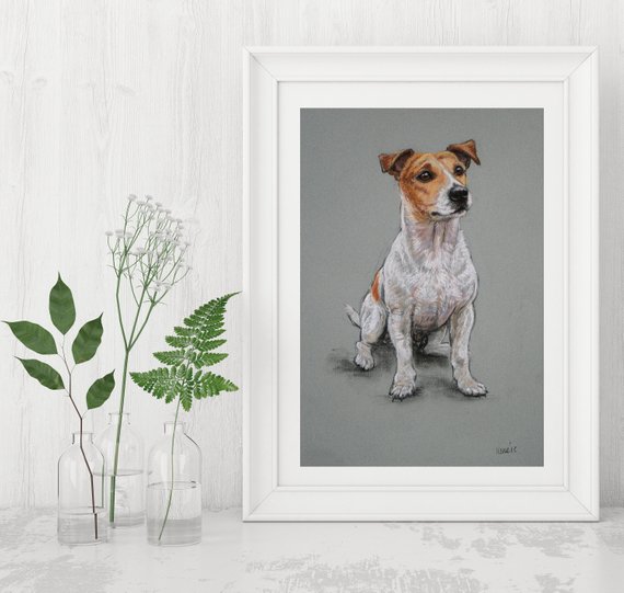 570x541 Jack Russell Terrier Dog Art Print Pastel Sketch Limited Etsy - Jack Russell Sketch