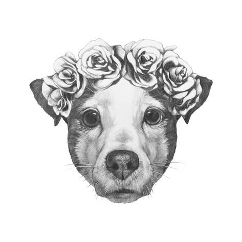 473x473 Original Drawing Of Jack Russell With Floral Head Wreath. Isolated - Jack Russell Sketch