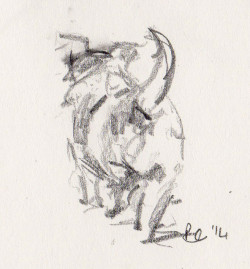 250x269 Scrappy - Jack Russell Sketch