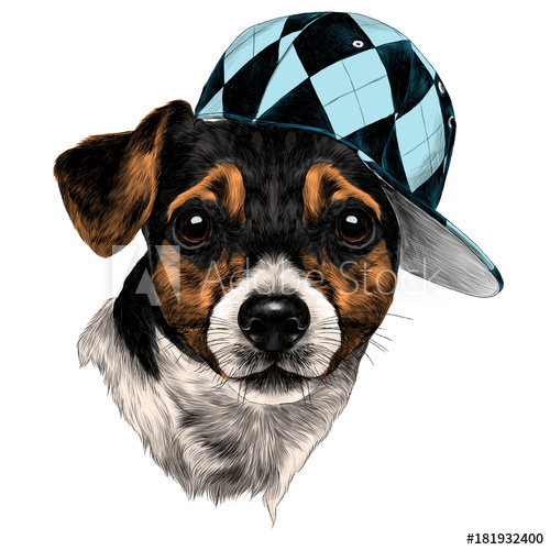 500x500 Dog Jack Russell Terrier Head With A Cap Sketch Vector Graphics - Jack Russell Sketch