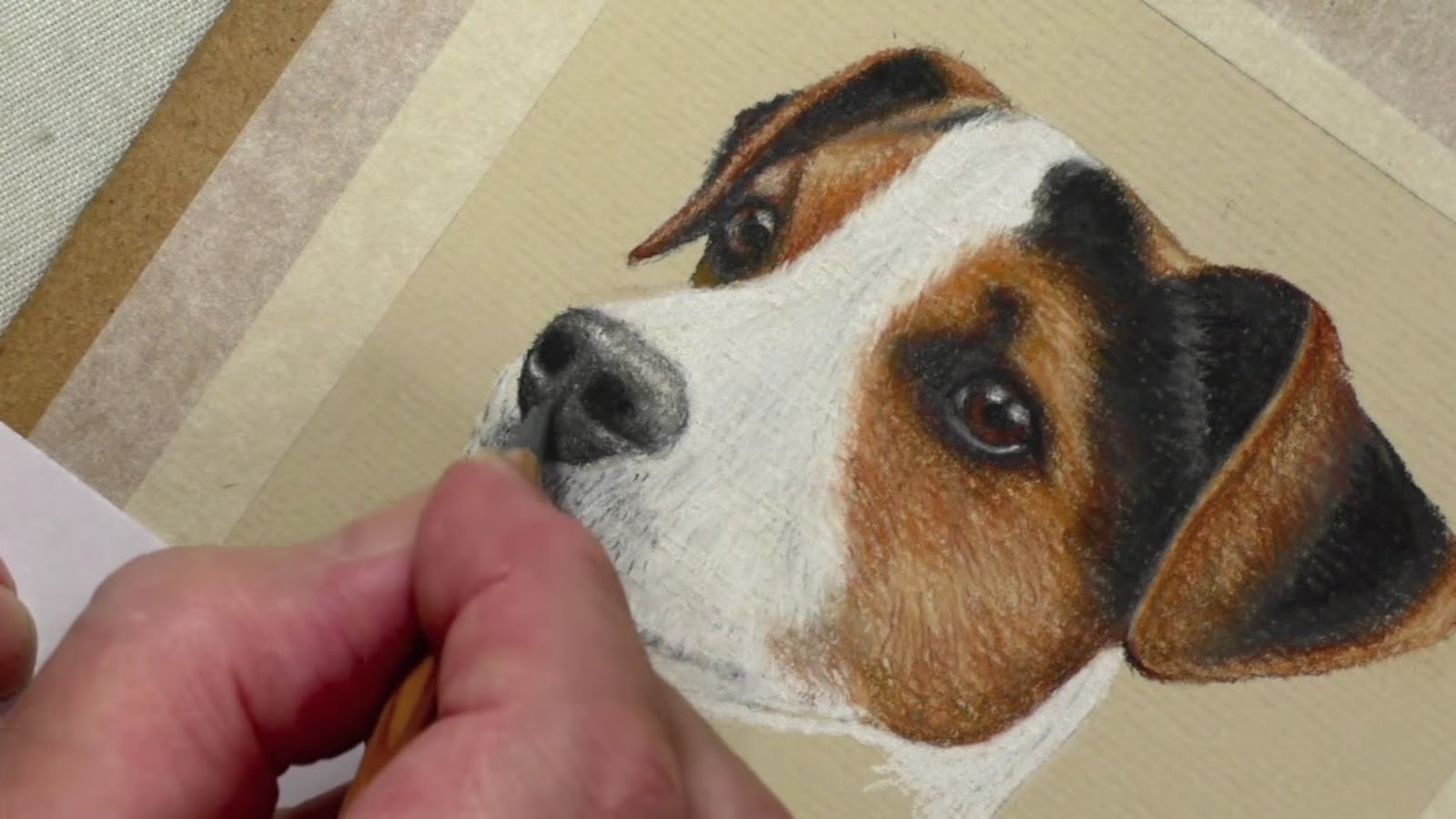 1600x900 Draw A Jack Russell Pastel Pencils - Jack Russell Sketch