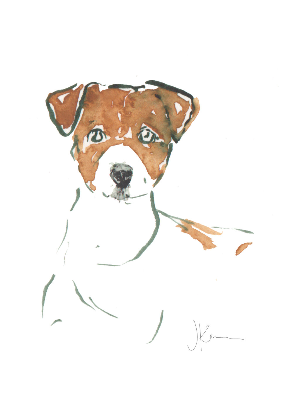 1000x1400 Framed Watercolor Jack Russell Terrier Print Julie King Studio - Jack Russell Sketch