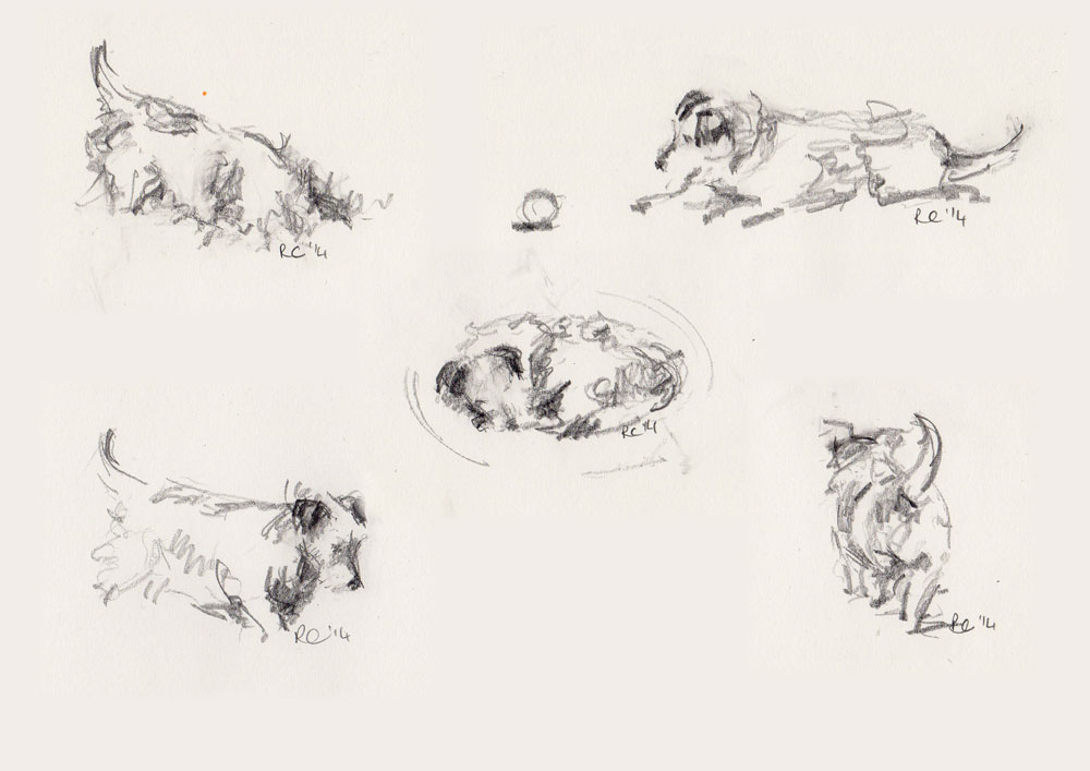 1000x707 Scrappy - Jack Russell Terrier Sketch