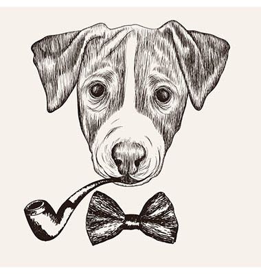 380x400 Sketch Jack Russell Terrier Dog With Bow Tie And Pipe On Behance - Jack Russell Terrier Sketch