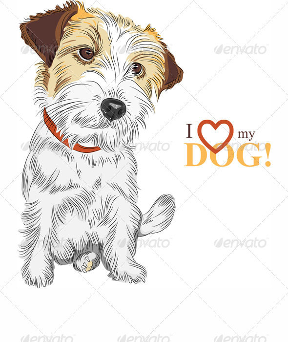590x700 Vector Sketch Dog Jack Russell Terrier Breed By Kavalenkava - Jack Russell Terrier Sketch