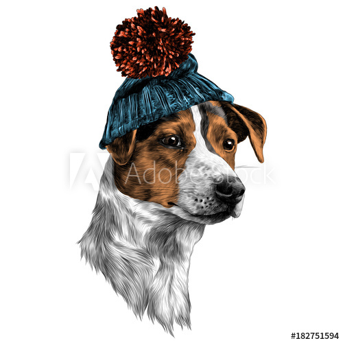 500x500 Dog In Hat And Scarf Jack Russell Terrier Head Winter Clothing - Jack Russell Terrier Sketch