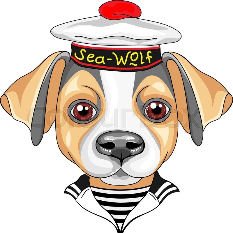 800x800 Color Sketch Of The Sailor Dog Jack Russell Terrier Breed In - Jack Russell Terrier Sketch
