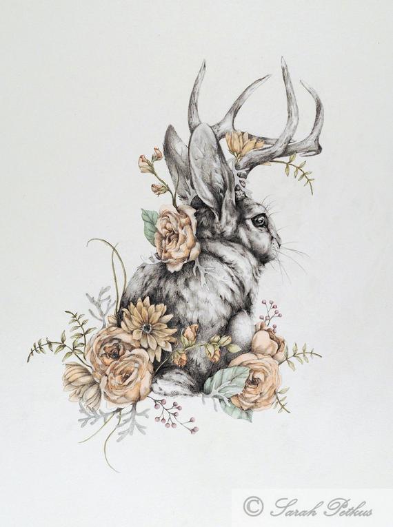 570x765 Jackalope 11 X 14 Floral Jackalope Rabbit Art Print Etsy - Jackalope Sketch