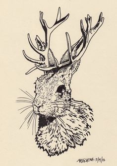 236x334 Jackalope Drawing Jackalope By Nicolecadet - Jackalope Sketch