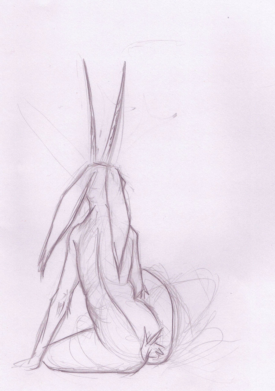 900x1280 Jackalope Woman Sketch By Lauraneocleous - Jackalope Sketch