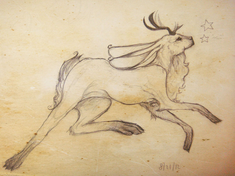 900x675 Jackalope Sketch By Kagedking - Jackalope Sketch