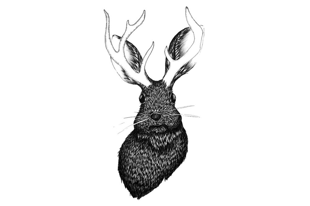 1000x667 Jackalope Ecmazur - Jackalope Sketch