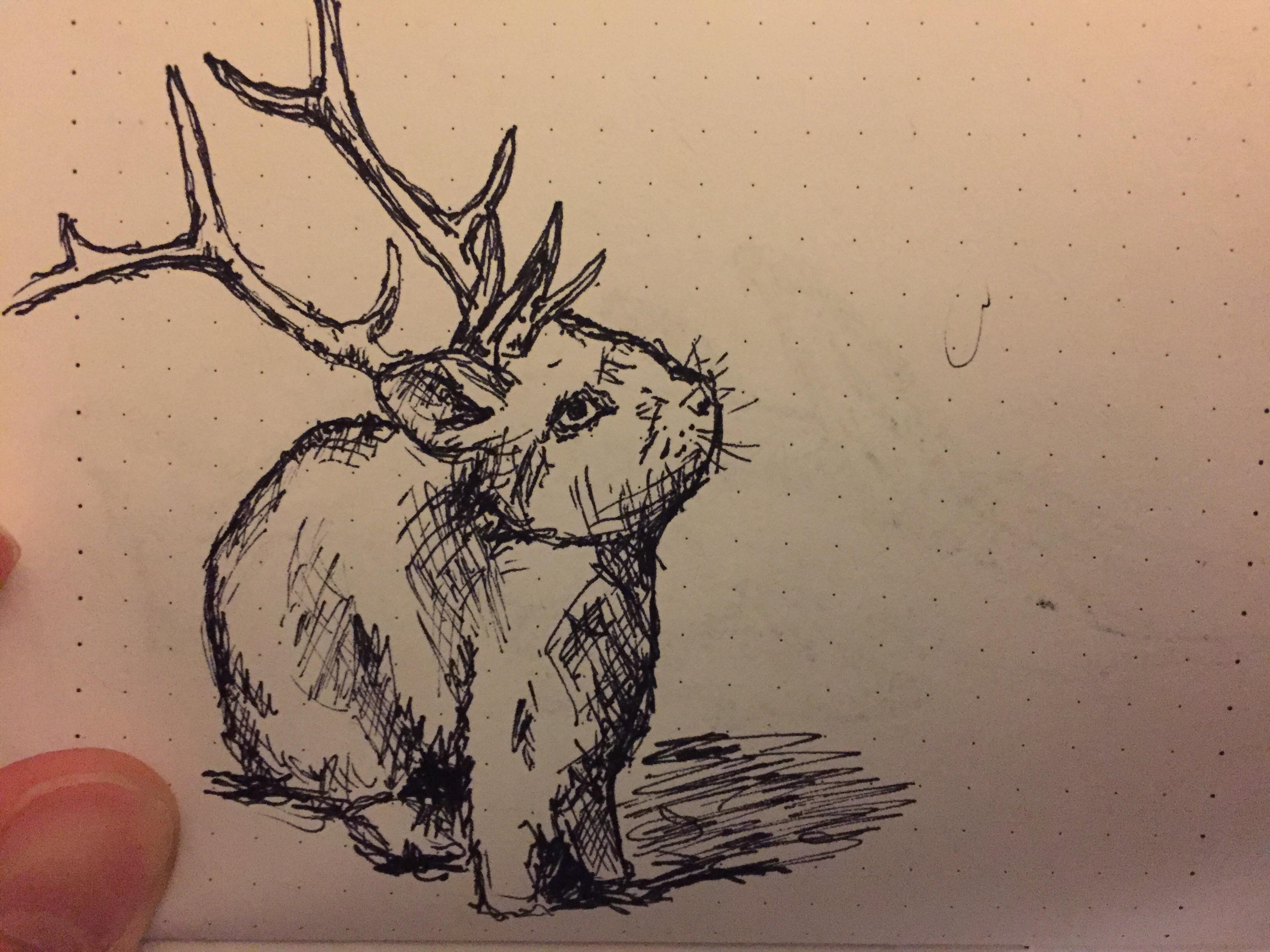 3264x2448 Tiny Sketch - Jackalope Sketch