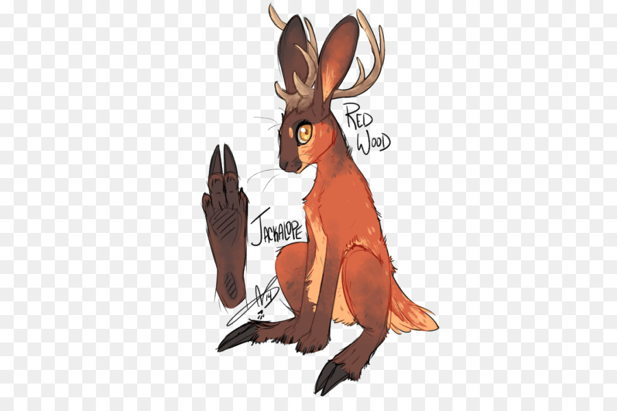 900x600 Domestic Rabbit Legendary Creature Art Jackalope Drawing - Jackalope Sketch