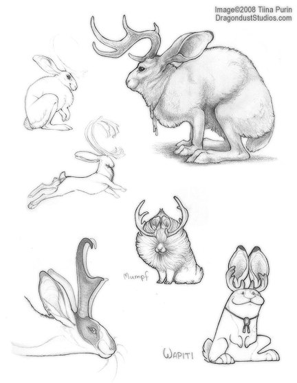432x558 Dragondust October 2010 - Jackalope Sketch