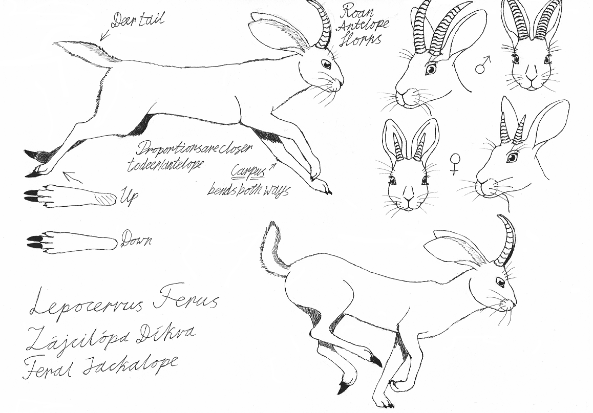 1158x807 Feral Jackalope Sketch Concept By Diamond Fox - Jackalope Sketch