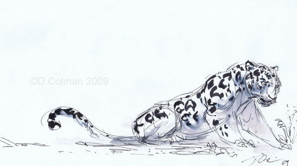 600x336 Jaguar Drawing By Davidsdoodles - Jaguar Animal Sketch
