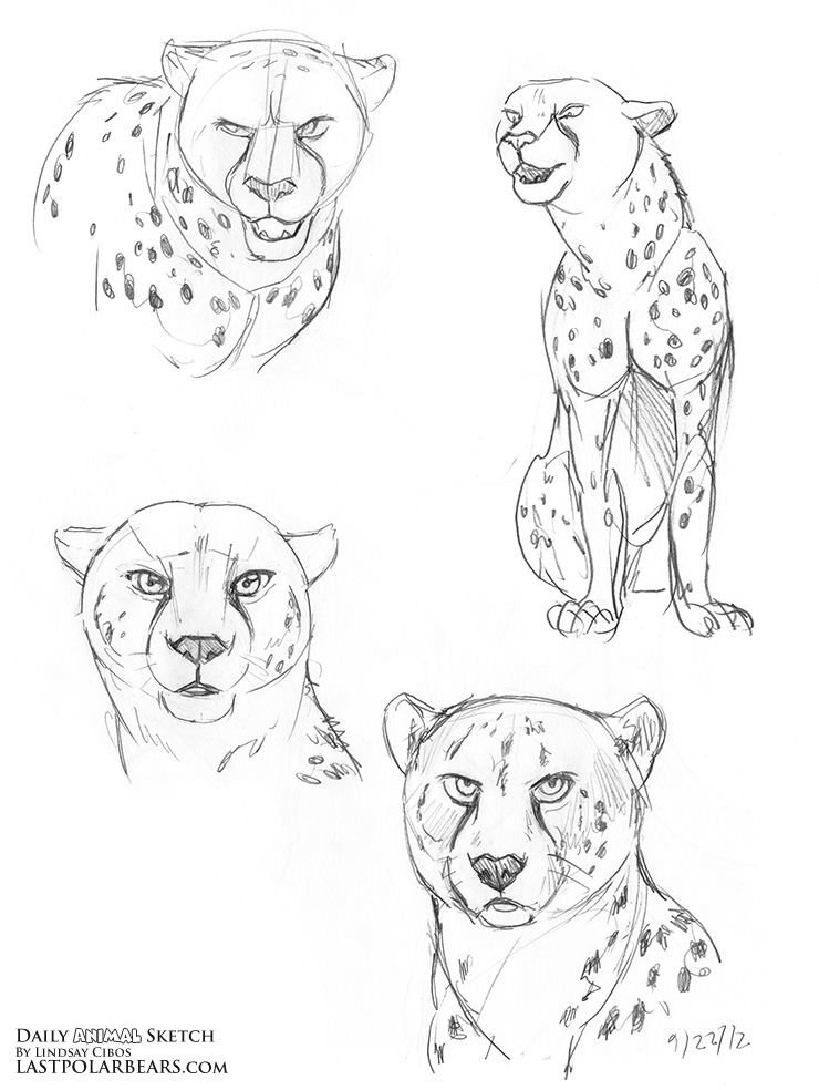 740x984 Daily Animal Sketch Big Cats Last Of The Polar Bears - Jaguar Animal Sketch