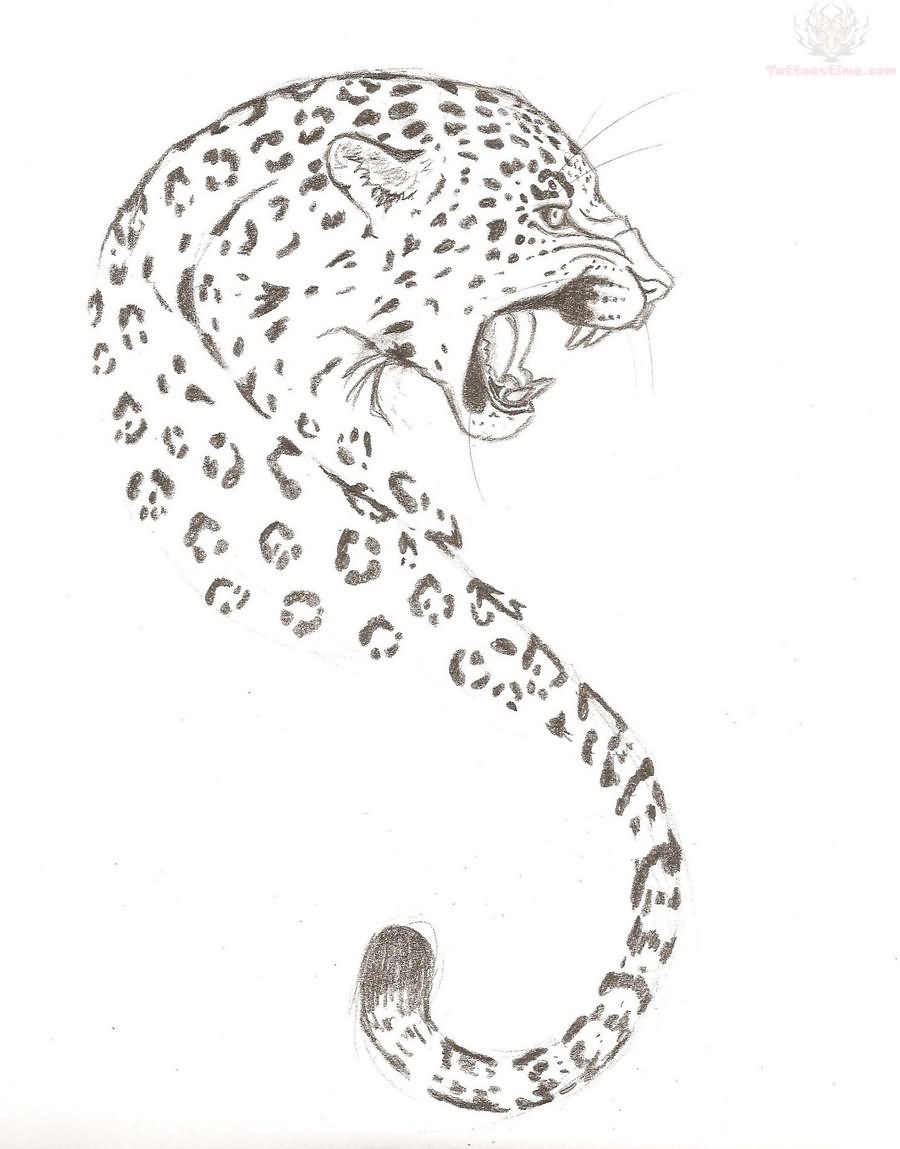 900x1149 Jaguar Sketch Tattoo Design - Jaguar Sketch