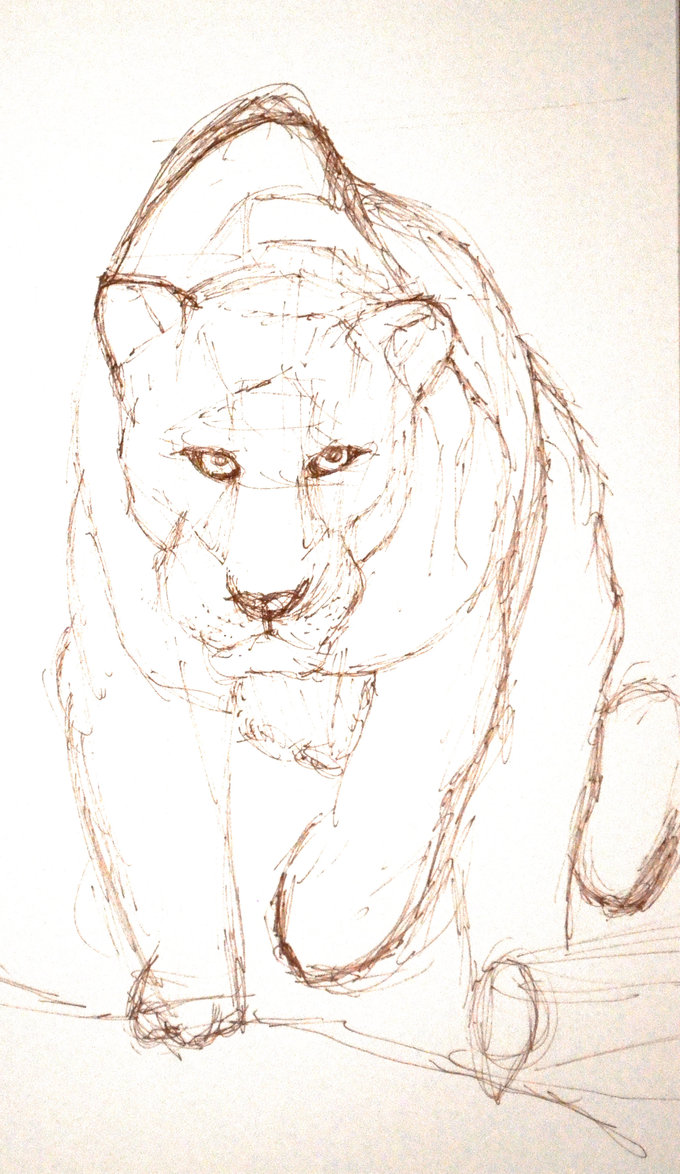 680x1174 Jaguar Sketch By Naedidar - Jaguar Sketch