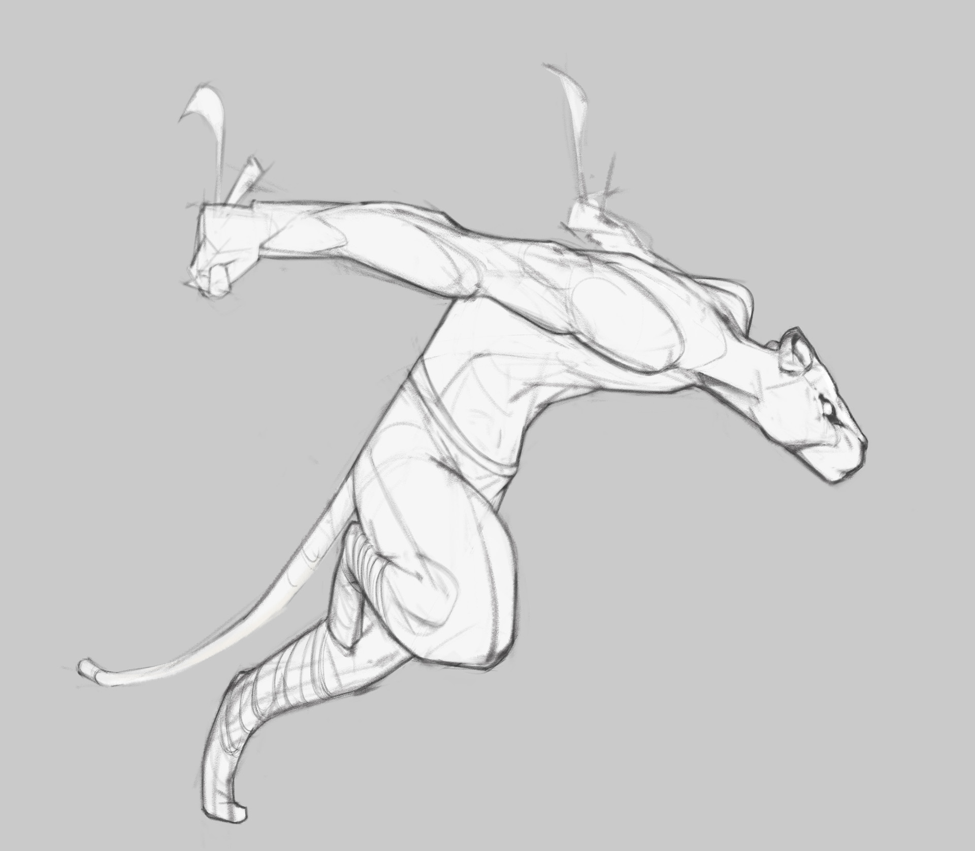 1920x1676 Tanner Hansen - Jaguar Sketch