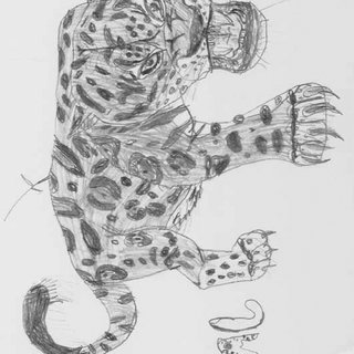 320x320 Drawing Of A Jaguar, Age 9. Download Scientific Diagram - Jaguar Sketch
