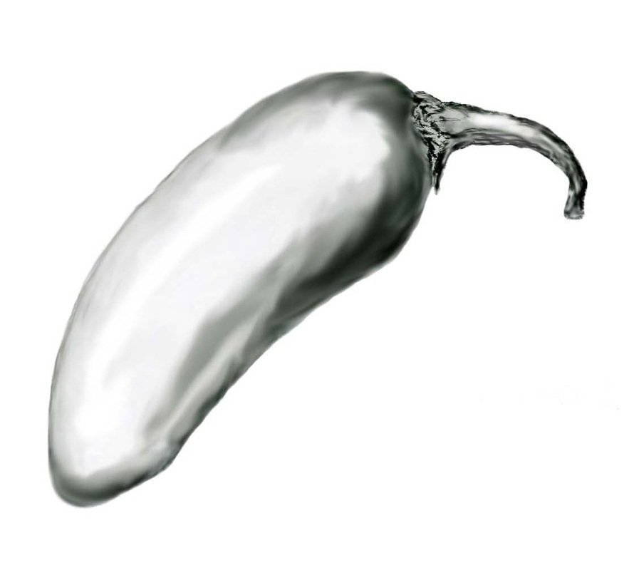 883x800 Drawings - Jalapeno Sketch