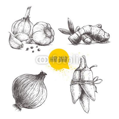 400x400 Hand Drawn Sketch Style Set Illustration Of Different Spices - Jalapeno Sketch