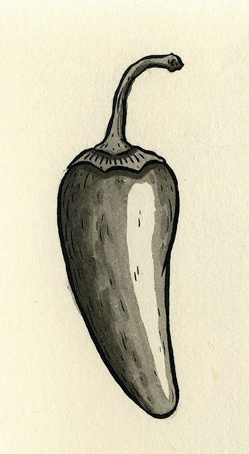 352x641 Jalapeno India Ink On Paper 3 58 X 2 2013 Available To - Jalapeno Sketch