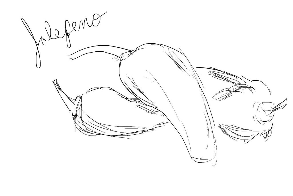 1024x683 Jalapeno Sketch By Noktpapilio - Jalapeno Sketch
