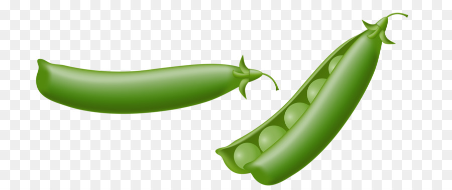 900x380 Pea Drawing Illustration - Jalapeno Sketch