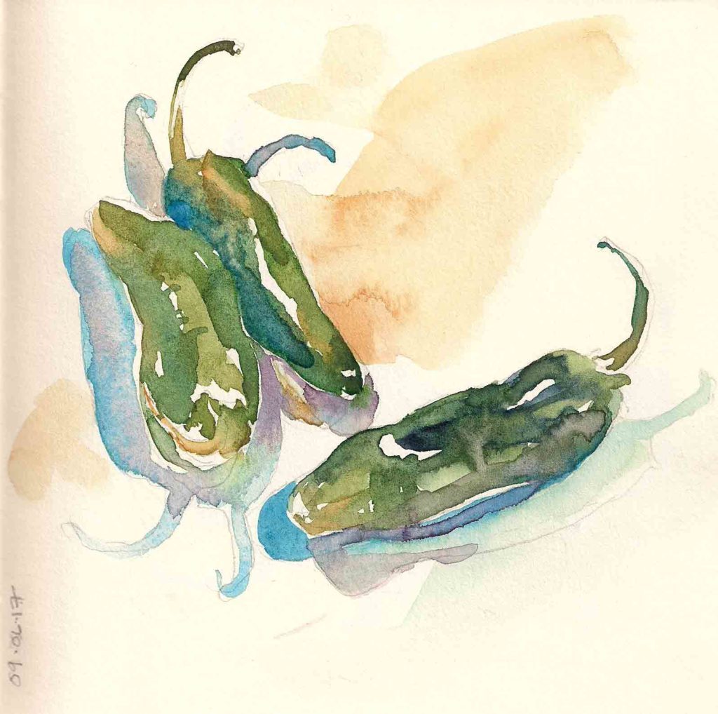 1024x1018 3 Elizabeth Fram - Jalapeno Sketch