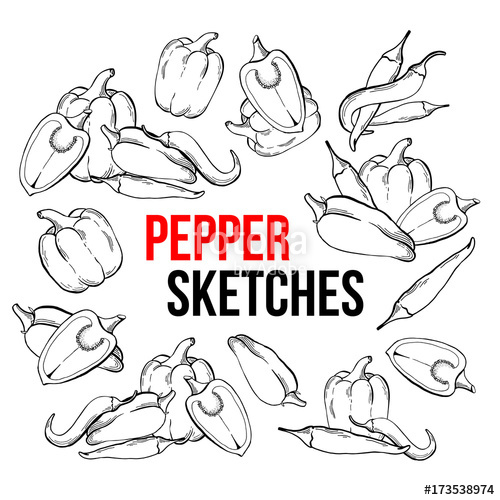 500x500 Peppers Vegetarian Food, Vegetable Handdrawn Sketch Isolated On - Jalapeno Sketch