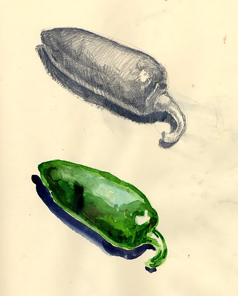 467x582 Sketch Of The Day Pepper - Jalapeno Sketch