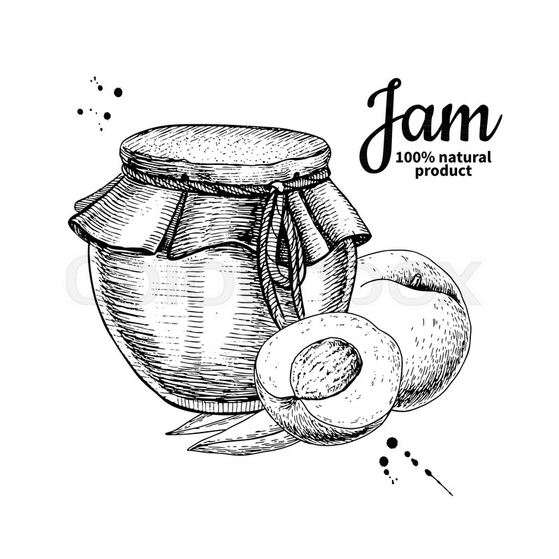 800x800 Peach Jam Glass Jar Vector Drawing. Fruit Jelly And Marmalade - Jam Sketch