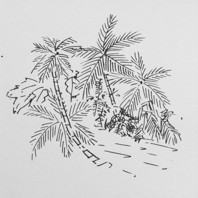 640x640 Jamaican Island Leafiness Inspired By Dr No. - Jamaica Sketch