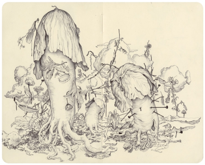 689x555 James Jean Sketches Empty Kingdom - James Sketch