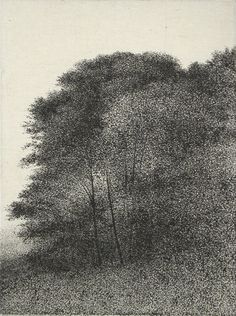 236x316 Trees Japan, Printmaking And Prints - Japanese Art Sketches