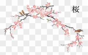 300x190 Cherry Blossom Tree Drawing - Japanese Cherry Blossom Sketch