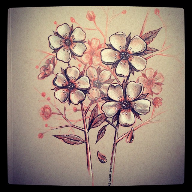 640x640 Drawn Cherry Blossom Pencil Drawing - Japanese Cherry Blossom Sketch