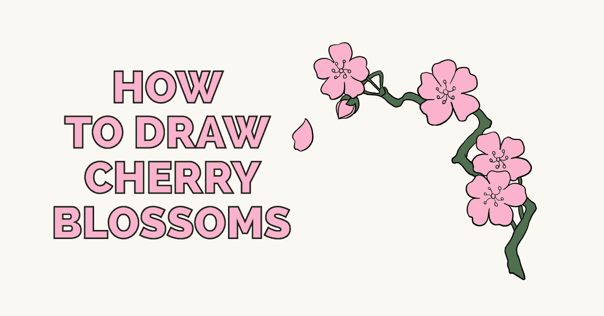 1200x628 How To Draw Cherry Blossoms - Japanese Cherry Blossom Sketch