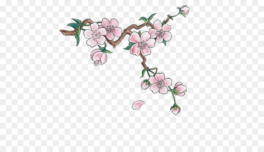 900x520 Japan Cherry Blossom Drawing Sticker - Japanese Cherry Blossom Sketch